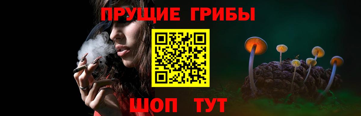 Шебекино  Галлюциногенные грибы мухоморы  Вход с VPN 